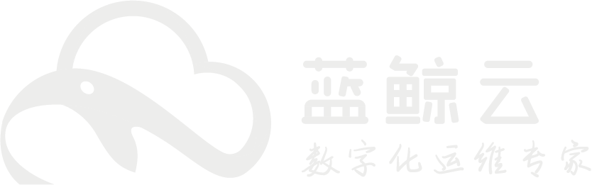 专业SEO优化公司